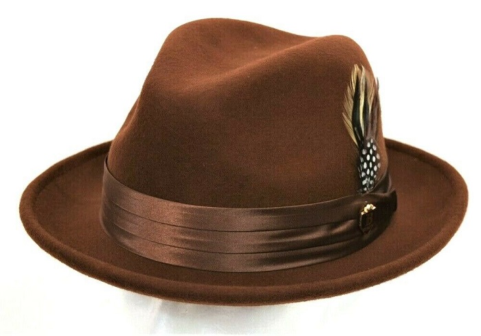 Brown fedora hat with a brown satin band and a small decorative feather.